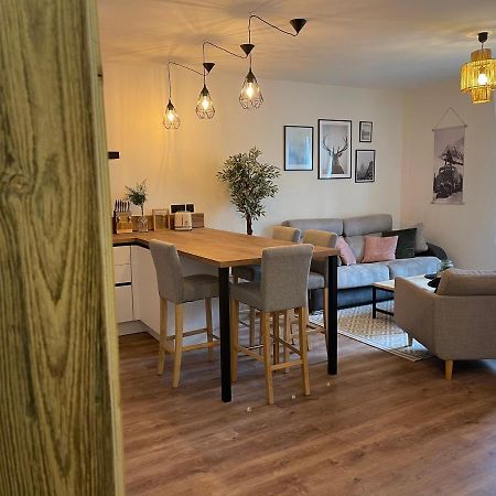 Appartement Tout Confort Haut De Gamme En Plein Centre Ville ジェラールメ エクステリア 写真