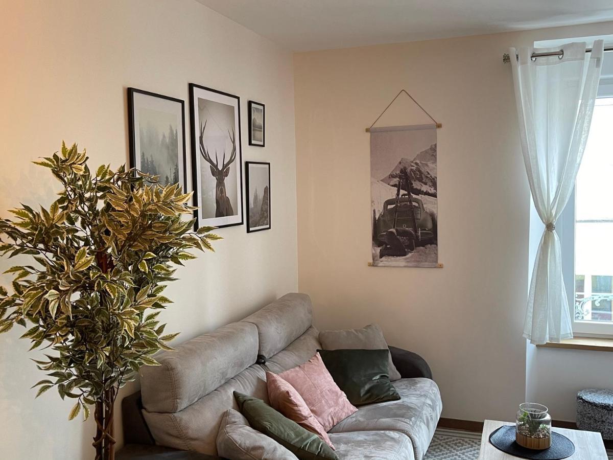 Appartement Tout Confort Haut De Gamme En Plein Centre Ville ジェラールメ エクステリア 写真