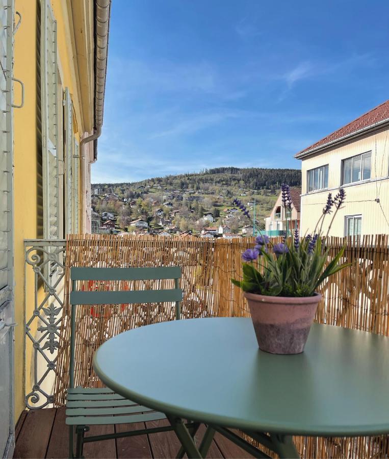Appartement Tout Confort Haut De Gamme En Plein Centre Ville ジェラールメ エクステリア 写真